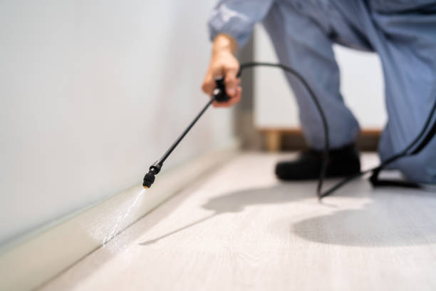 Licensed Fumigation Services service in Boone County County, WV - Nex Pest Control